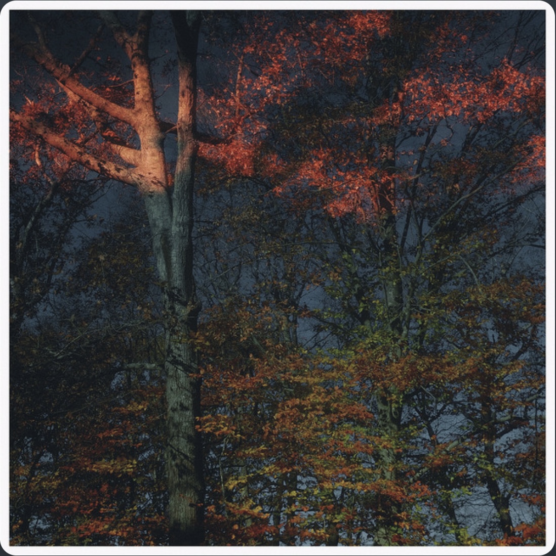 The Shivers - Slow Dance at the End of the World